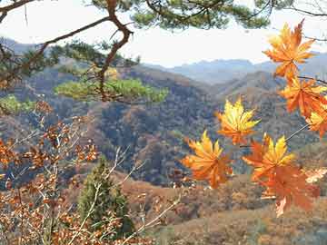 2024年12月14日