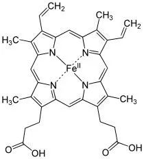 新闻动态 第154页