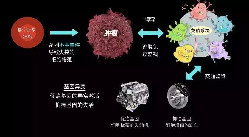 专家科普，与癌症相关的三大风险因素_权限解释落实