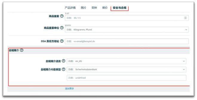 2024年澳门正版免费,全面解释落实_Device36.507