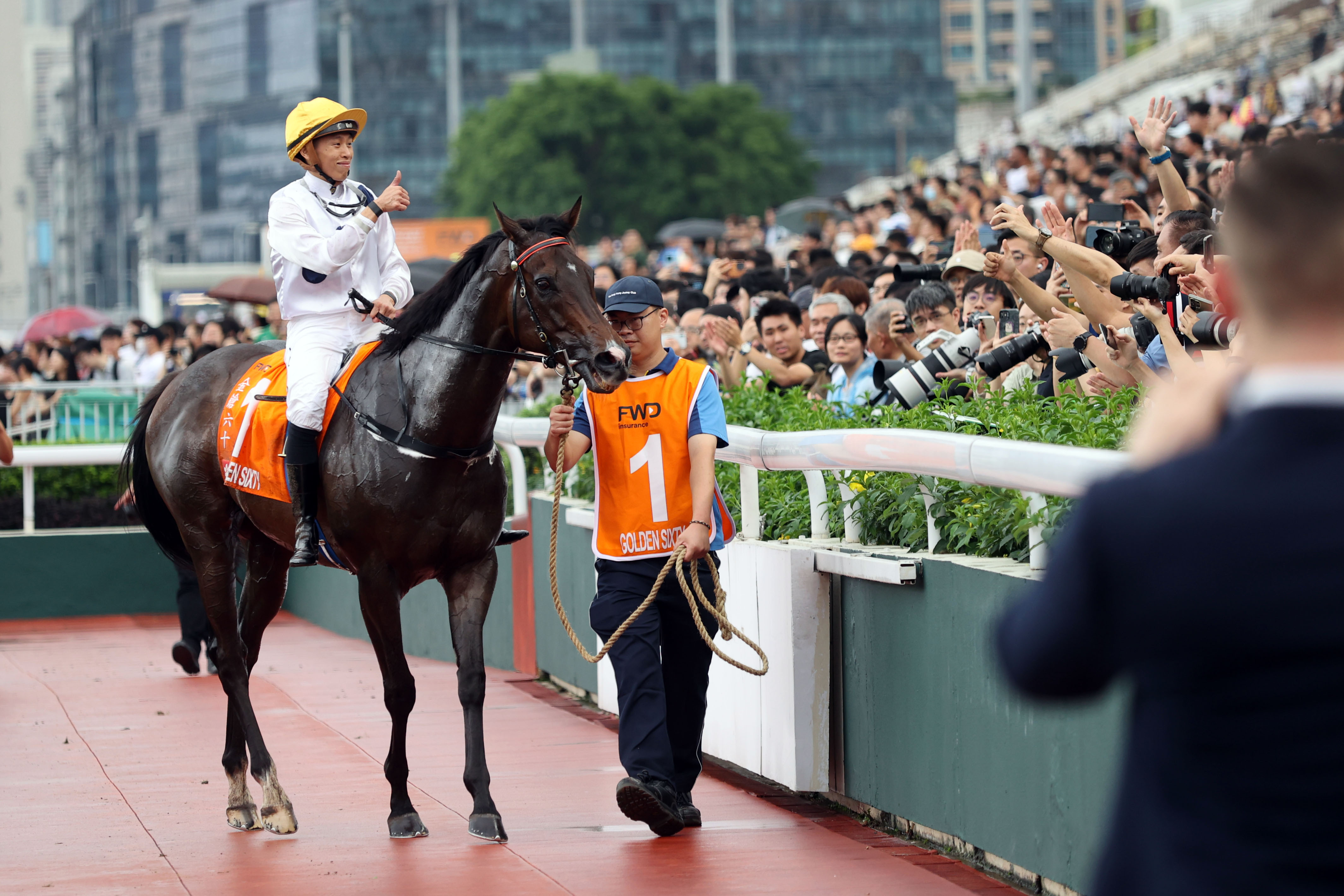 2024香港赛马全年免费资料,反馈执行和跟进_钻石版77.768