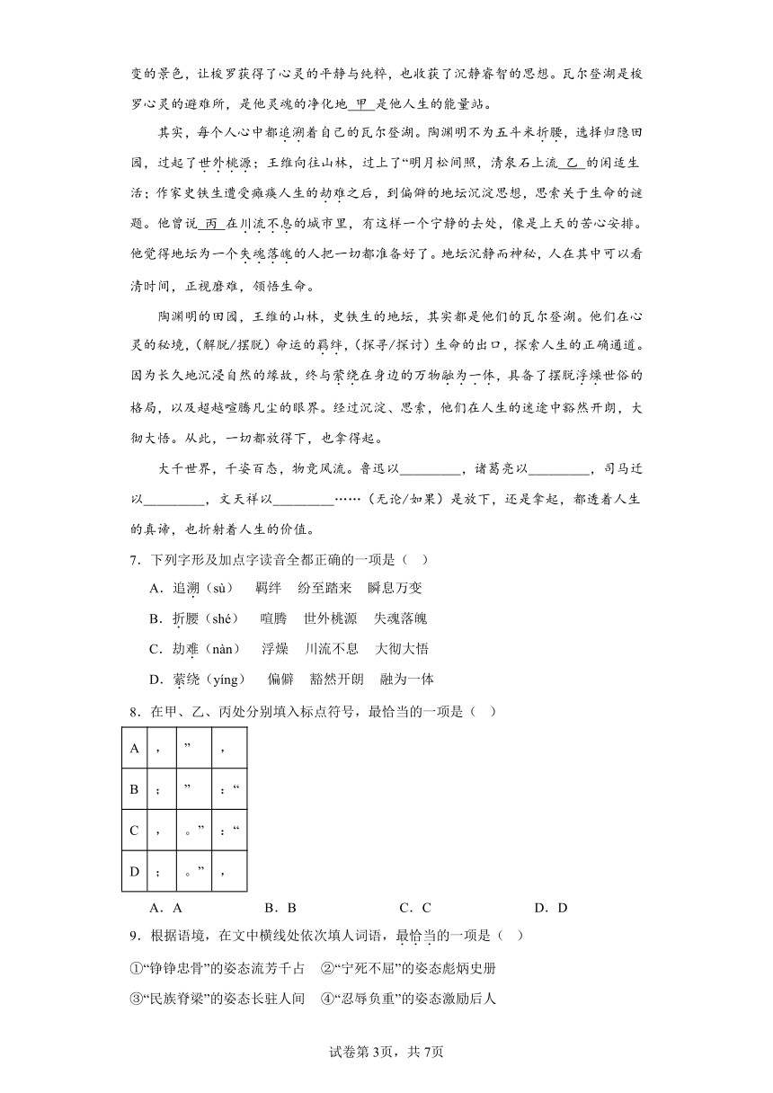 2024年资料免费大全,词语解释_Console67.48