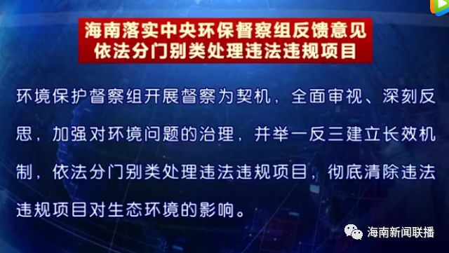 新澳天天开奖资料大全最新5,反馈实施和执行力_P版67.791