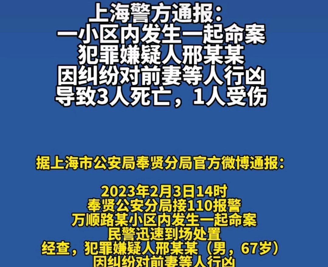 上海又出凶案，深度探究与反思_全面解答解释落实