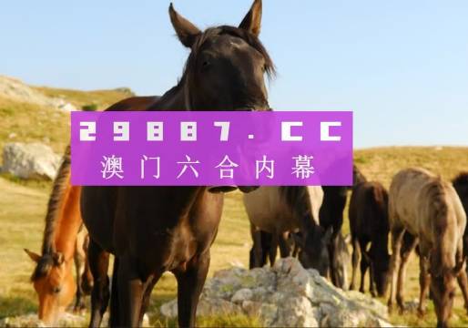 管家婆一肖一码澳门——揭秘最新智慧的成语