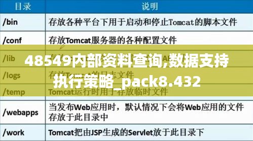 48549内部资料查询——新机遇与挑战分析论文范文