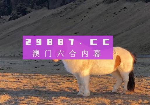 澳门彩免费资料一大全——享受冰雪带来的乐趣与刺激