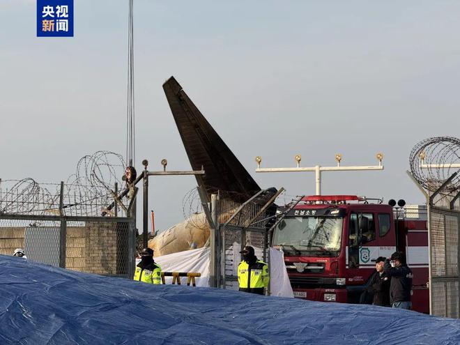 韩国航空空难事件深度解析