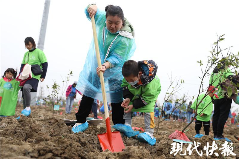 救护车停田里摘柑橘，一场别开生面的救援行动