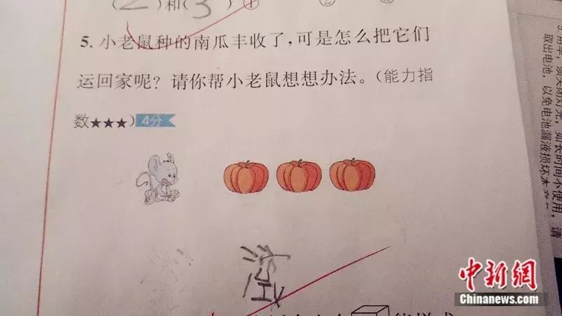 老师回应小学试卷难度，挑战与反思