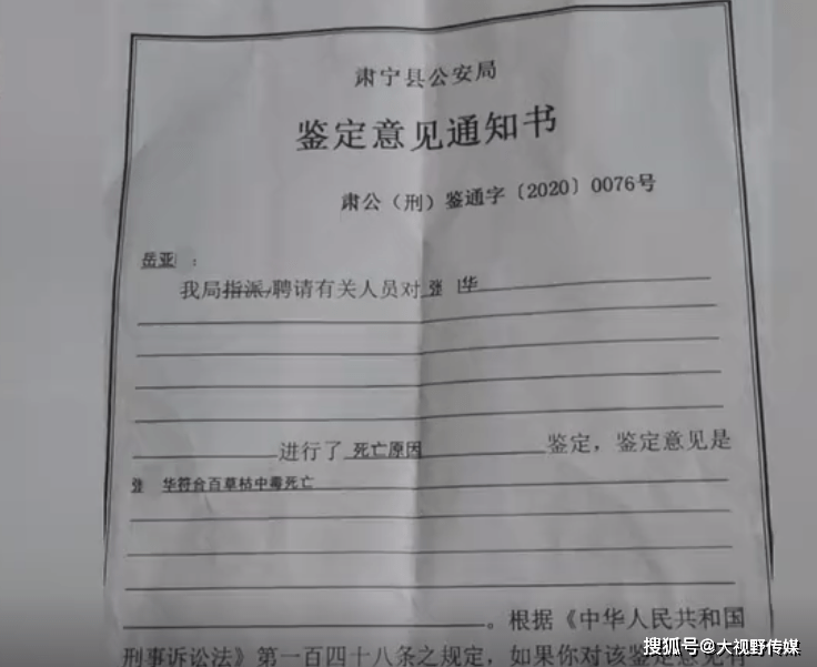 关于三只羊沫沫被取保候审的消息解读