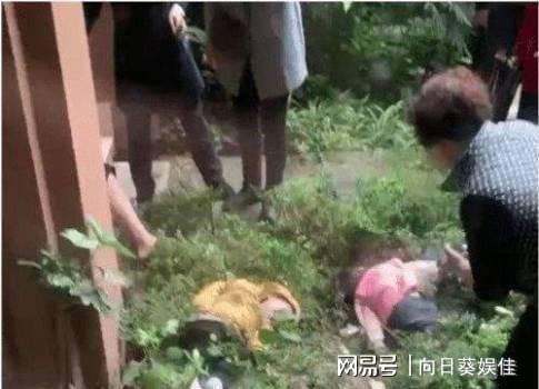 重庆公园大量锦鲤死亡，投毒者被拘——关于生态保护的反思与呼唤