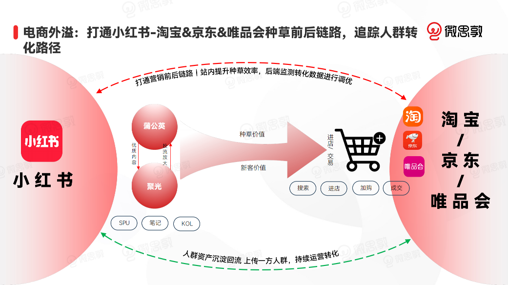 小红书概念爆发，数字时代的社交新纪元