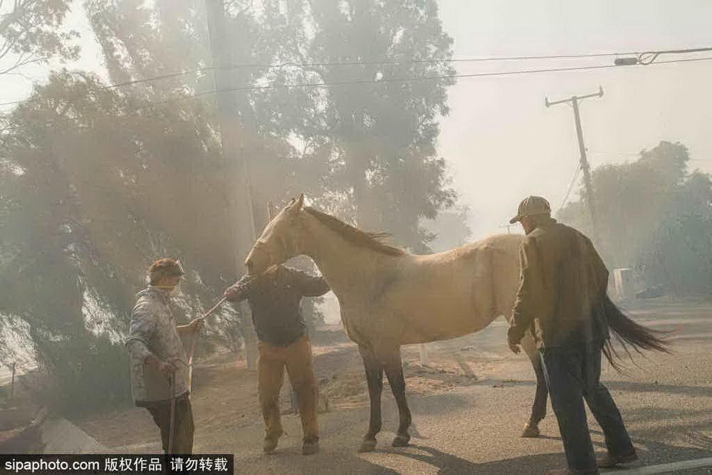 洛杉矶富人区特权，能让山火改道？