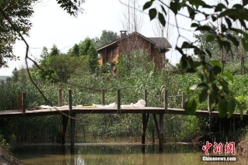 重磅！两幢违建豪宅被拆除，城市天际线焕然一新