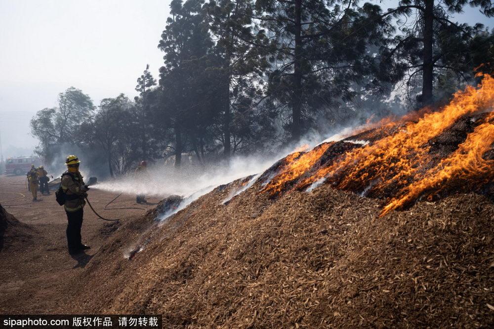 洛杉矶山火持续 热心人抓紧营救动物