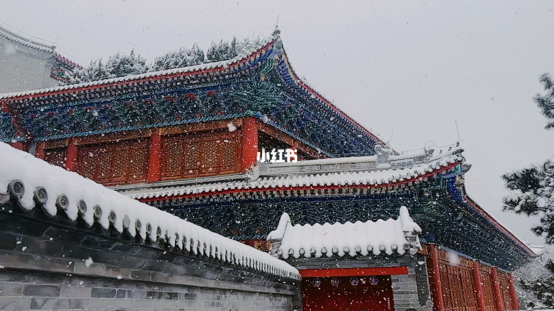 北京下雪了，一场冬日雪舞的美丽画卷