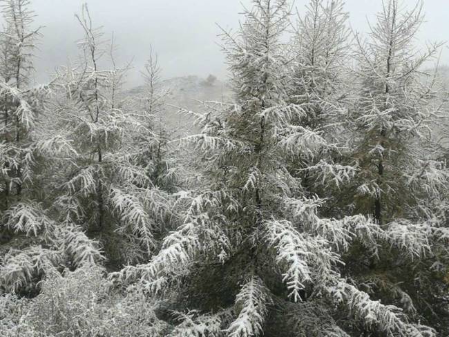 北京下雪了，美到惊艳！