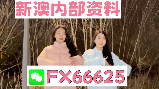 管家婆最准一码一肖9387期——胜利之路腾讯视频