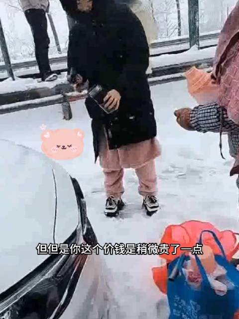 女子自驾返乡遇暴雪开直播问路，智慧与勇气并存