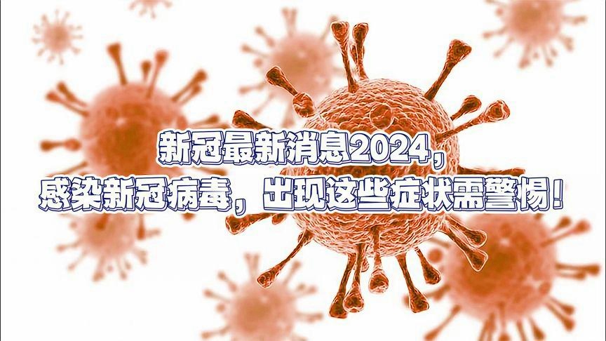 2024年11月份新病毒——感受城市的独特风情与活力